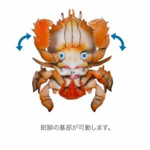 toy 蟹扭虿号蛋 call