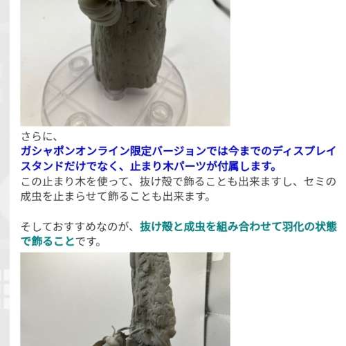 扭蛋 ！蟹