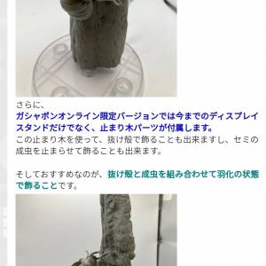 扭蛋 ！蟹