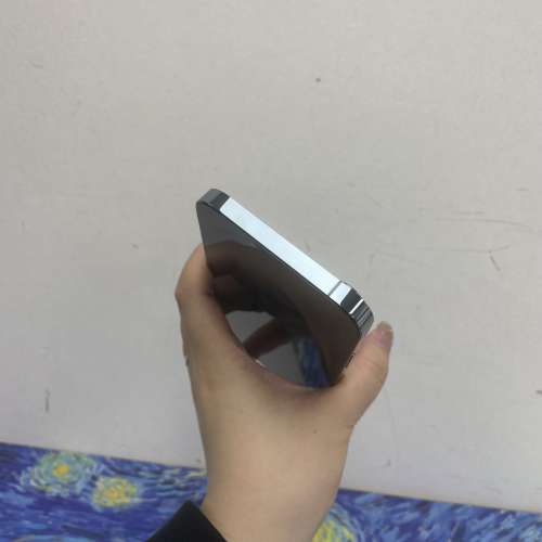 (✨電子之家，Apple iPhone手機專家✨）香港行貨/Apple iPhone 13 pro max/256gb/性...