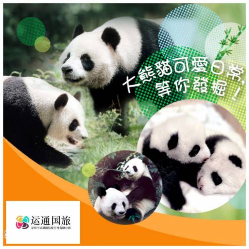 海洋公園 「玩轉冬日園」 限時春節優惠至2025年2月12號