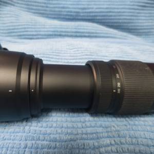 M43 Lumix G Vario 100-300mm f/4.0-5.6 Mega O.I.S