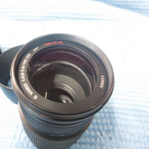 M43 Lumix G Vario 100-300mm f/4.0-5.6 Mega O.I.S
