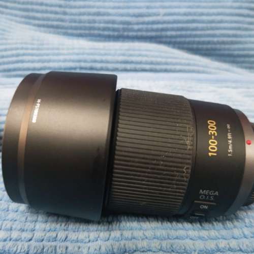 M43 Lumix G Vario 100-300mm f/4.0-5.6 Mega O.I.S