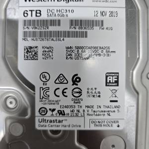 Western Digital 6 TB Hard disk x 2 (兩件)