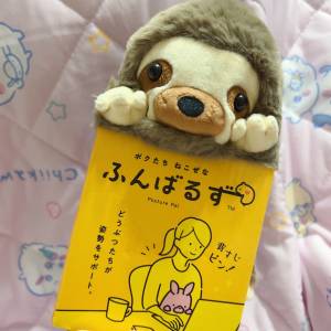 日本樹懶改善坐姿公仔20 cm