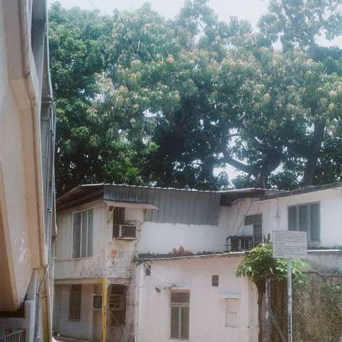 Takumar 50mm 3.5 鏡頭 m37 m42 mount Asahi-Kogaku Takumar