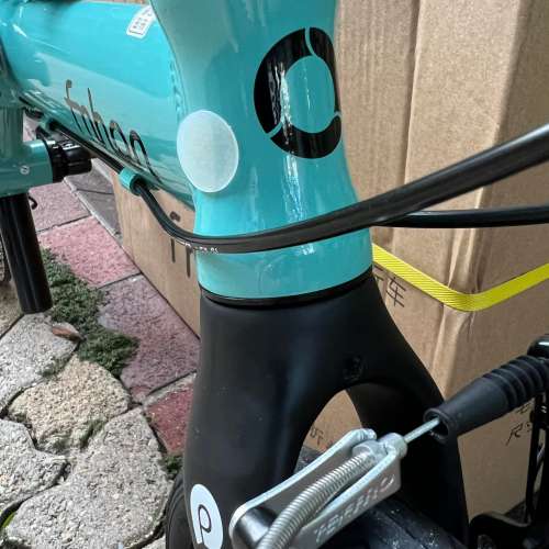 風行 412 外3速 LP 碳前叉 中空餅 米洛 M63 14吋輪組 鋁合金 折叠車