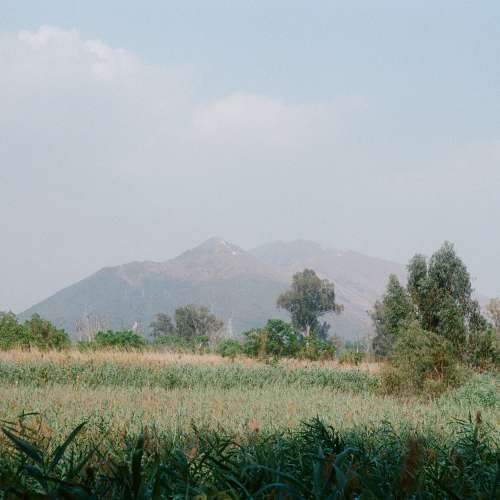 紅P版 Industar-50mm f3.5 餅乾鏡 m42 mount 老鏡頭 餅鏡