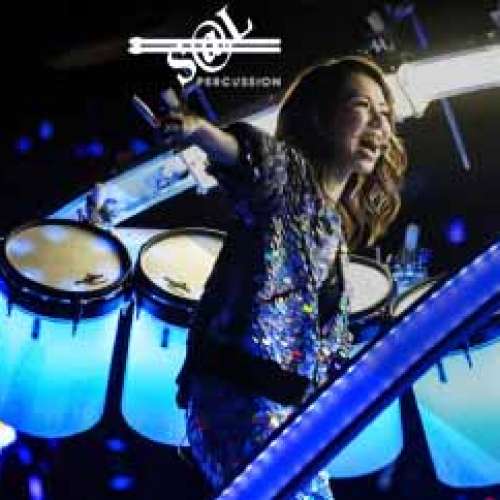 【支援ROLAND】香港品牌S@L 10"寸雙音區網面鼓盤 (內含價格分類 / 短期跟送連接配件...