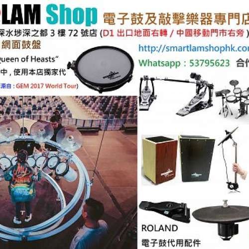 10"inch寸支援ROLAND電子鼓網面(實木鼓框) S@L 系列鼓盤【PD105 代用】