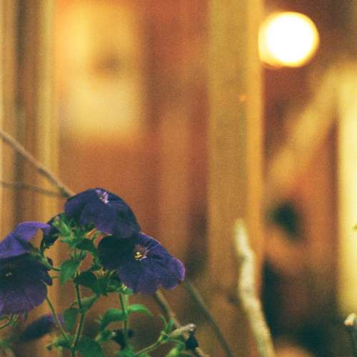 一機兩鏡 Pentax K2 套裝 （Pentax K1000進階版） 菲林相機