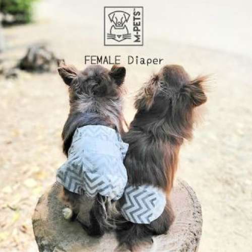 M-PETS 紙尿褲 (男) S 9片