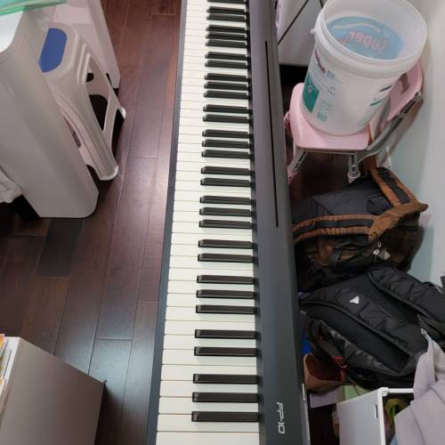 Roland FP - 10數碼鋼琴