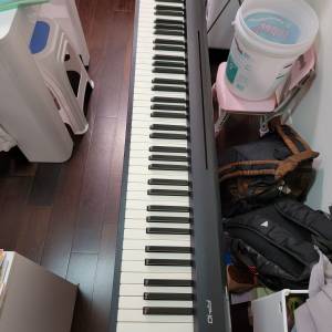 Roland FP - 10數碼鋼琴