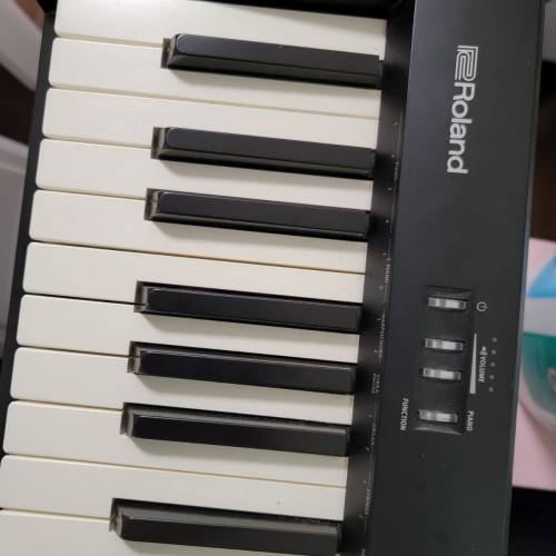 Roland FP - 10數碼鋼琴
