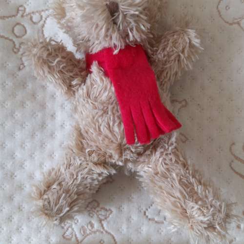 二手Yves Rocher Toy 毛公仔 玩具 小型毛公仔 TOY