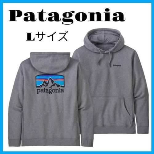 Patagonia 衞衣 s size