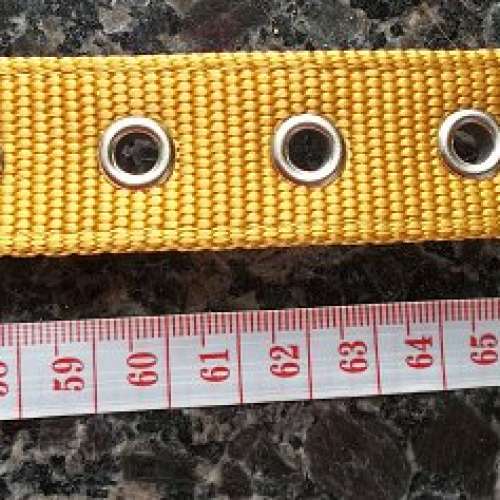 全新狗項圈 狗狗頸圈 狗圈脖 圈脖套 狗鏈頸圈 狗鏈牽引繩 寵物用品 – 黃色(70cm)