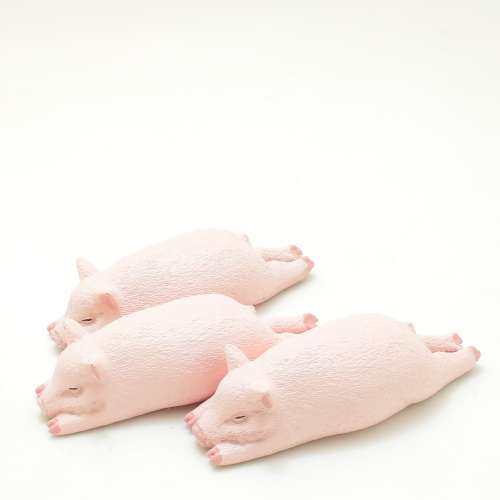 パンダの穴 ZooZooZoo 第7弾 やるきが寝