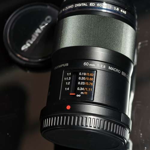 Canon EF24-85 f/3.5-4.5 & Olympus 60mm f2.8 Marco