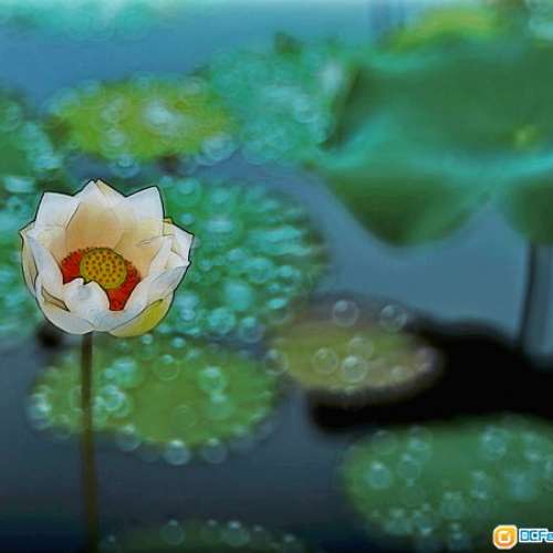 Meyer Gorlitz Trioplan 100/2.8(M40改M)Hugo改名版本，白鏡發色濃而油亮，散景獨特...