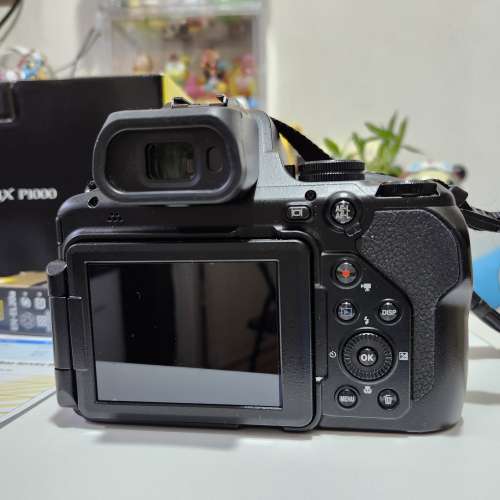 Nikon P1000