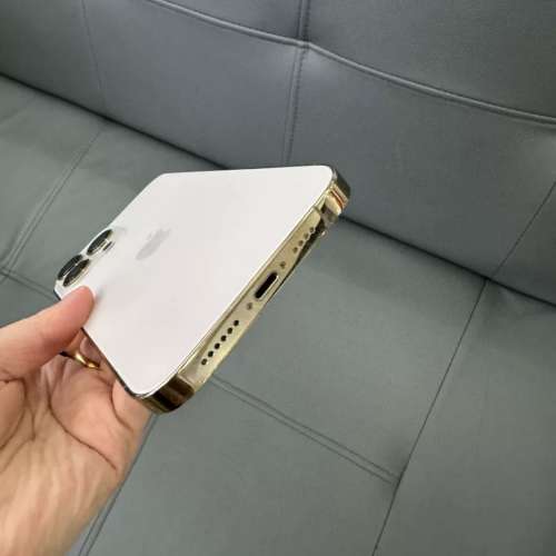 iPhone 13 pro max 1TB 自用機，電池效能87 ％，送Magsafe Case及玻璃貼