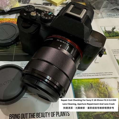 Repair Cost Checking For Sony E 18-55mm F3.5-5.6 OSS Lens Cleaning