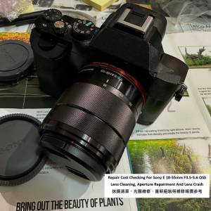 Repair Cost Checking For Sony E 18-55mm F3.5-5.6 OSS Lens Cleaning
