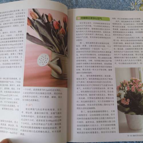 二手居家健康花草大全 室內養花書籍入門 家庭養花大全 從零開始學栽培 多肉新手盆栽...