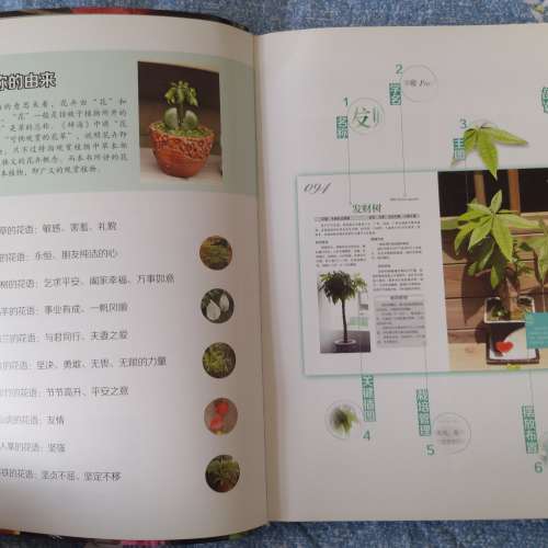 二手觀葉植物栽培百科圖鑒 植物種植書籍 養護技巧 觀葉類 園藝