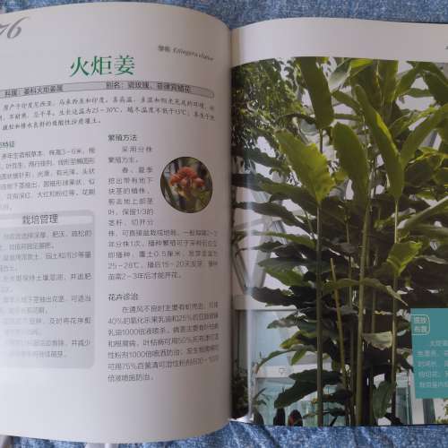 二手觀葉植物栽培百科圖鑒 植物種植書籍 養護技巧 觀葉類 園藝