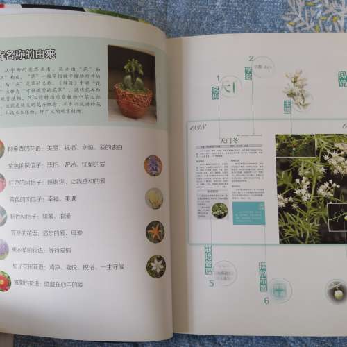 二手觀花植物栽培百科圖鑒 養花書籍 觀花類 園藝