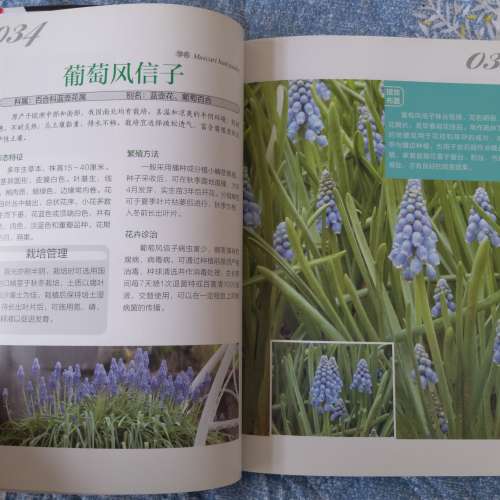 二手觀花植物栽培百科圖鑒 養花書籍 觀花類 園藝