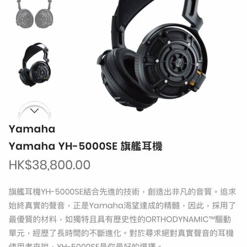 退坑  2 隻耳牛  Meze Audio LIRIC I|/YH-5000SE