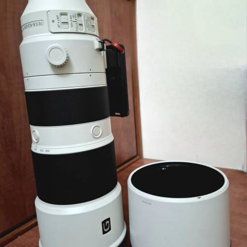 sony 200-600mm鏡頭