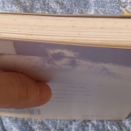 二手小說 拒絕名分 梁望峯