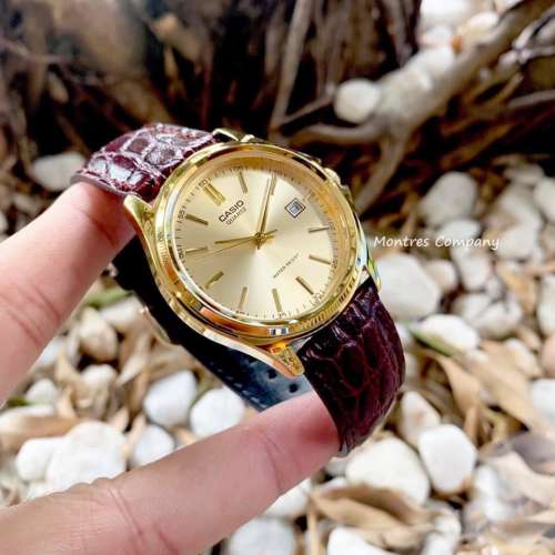 Montres Company 香港註冊公司(32年老店) 卡西歐 CASIO 棕啡色皮革錶帶 金色 MTP11...