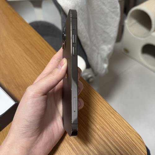 iphone12 pro 黑色 （電池100%健康度）