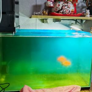 魚缸及物品
