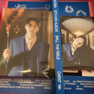 Seventeen spill the feels 崔瀚率 Vernon淨專