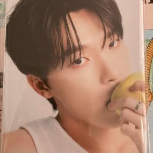 Seventeen Right here Dino 卡冊
