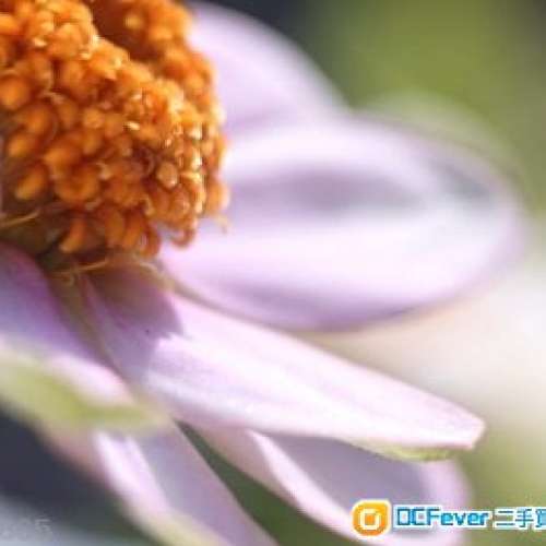 Foth Derby Anastigmat 50mm f2.5 德國古老折疊機鏡頭改A七 成像立體又細膩 具迷人...