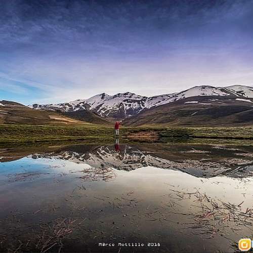 Tamron SP 17mm F3.5 (Adaptall百搭環)銳利好色，低變型超廣角，Nikon A7R好多機都啱...