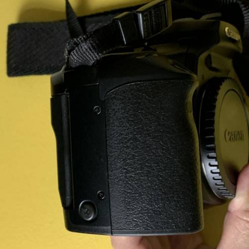 Canon EOS 30 date 眼球對焦