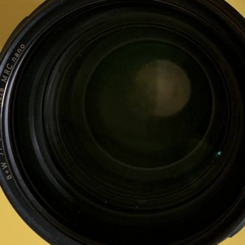 Canon EF 70-200mm f/2.8L IS II USM, B+W XS-Pro filter