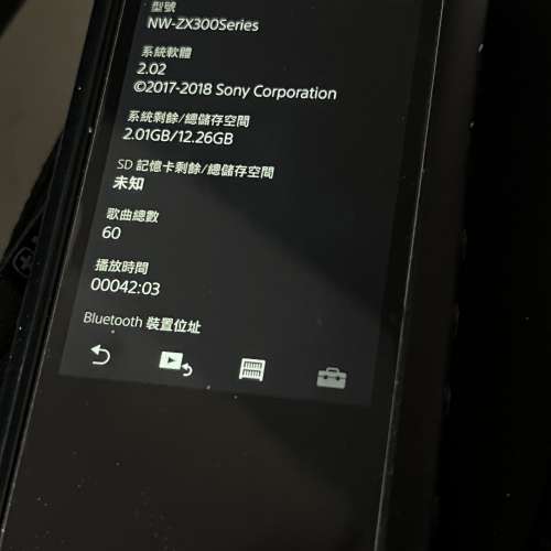 Sony Walkman NW-ZX300A