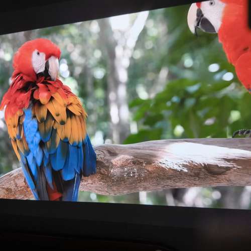 Wemi微米Q10Pro projector 投影儀