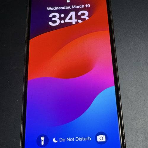 iPhone XS Max 256G